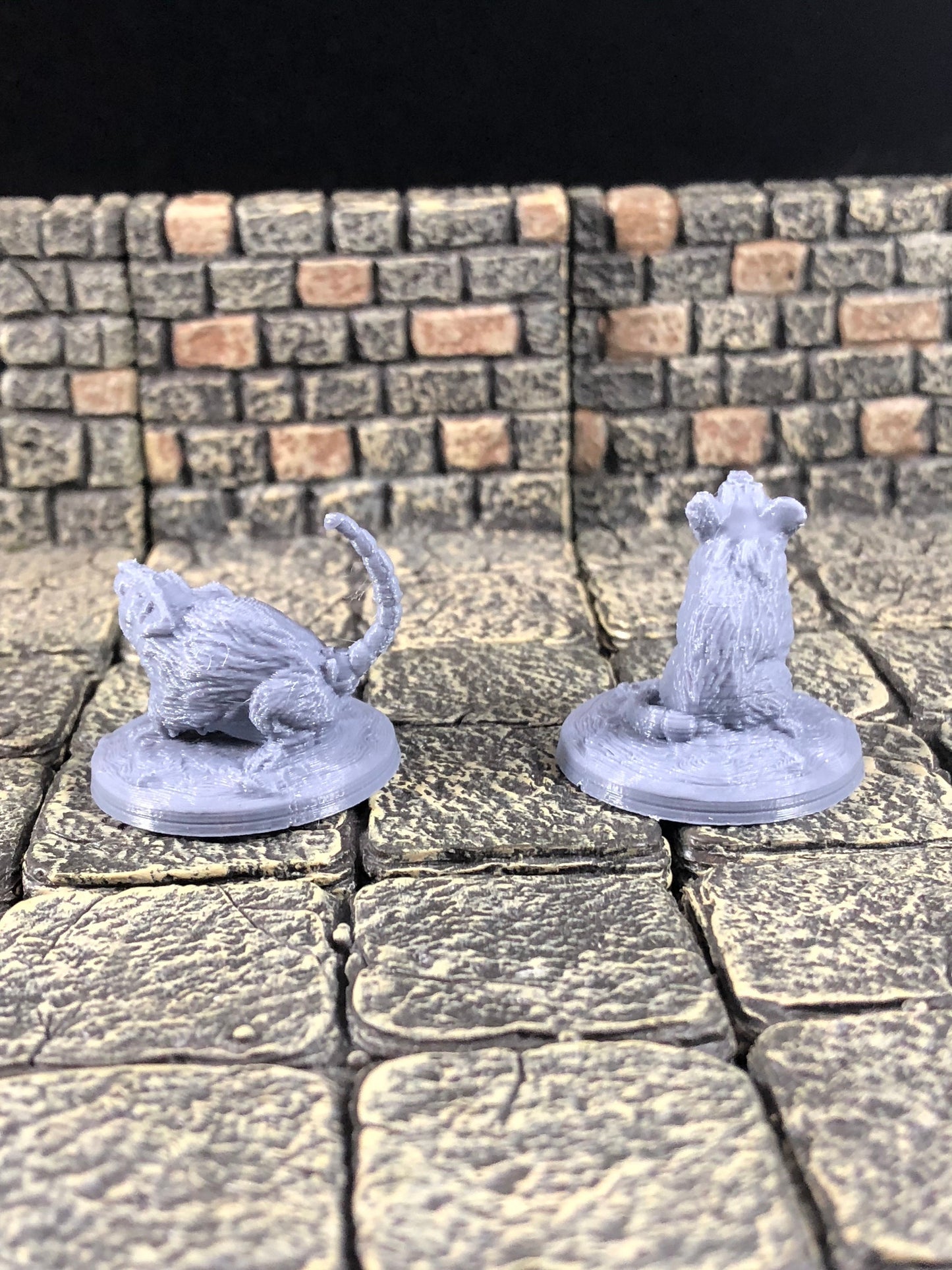 Giant Rats - 28mm D&D Miniature