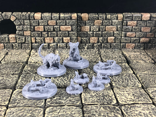 Giant Rats - 28mm D&D Miniature