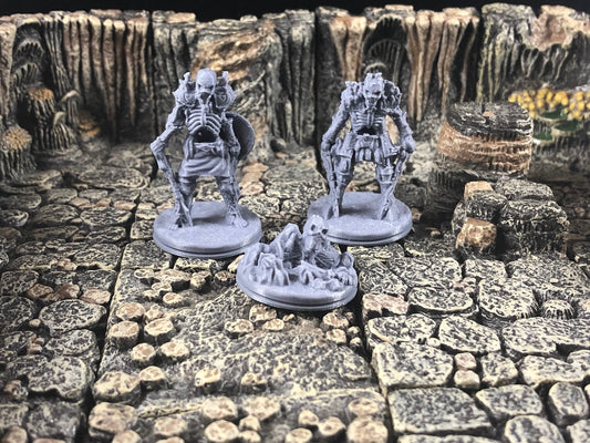 Frozen Skeletons - 28 mm D&D Miniature