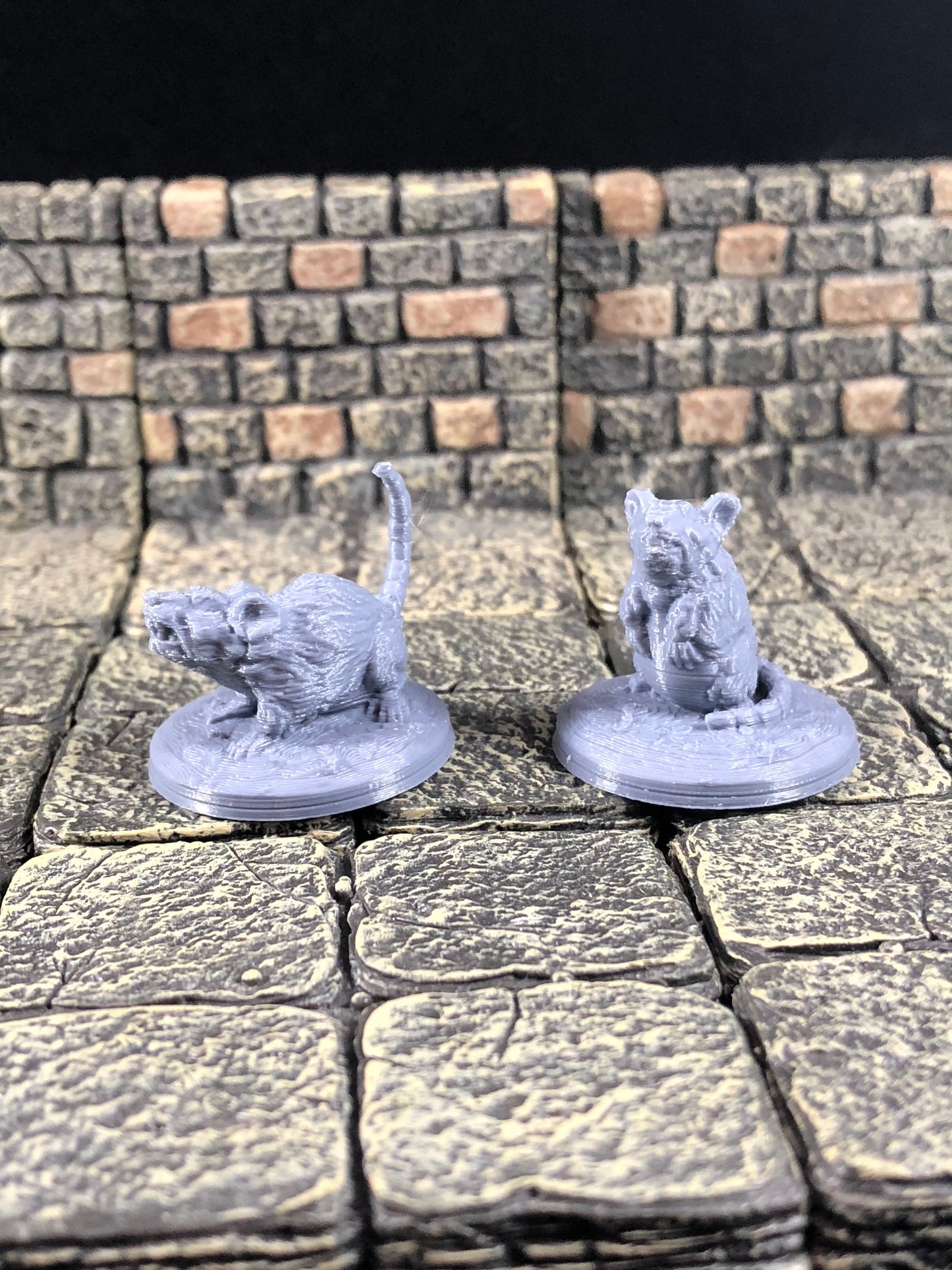 Giant Rats - 28mm D&D Miniature