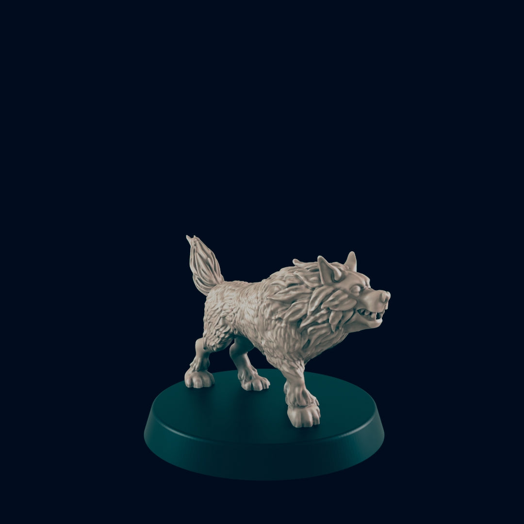 Wolf Pack Miniature Set – Three Dynamic Figures for Tabletop RPGs